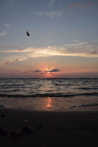 "Seule sur le sable, les yeux dans l'eau"